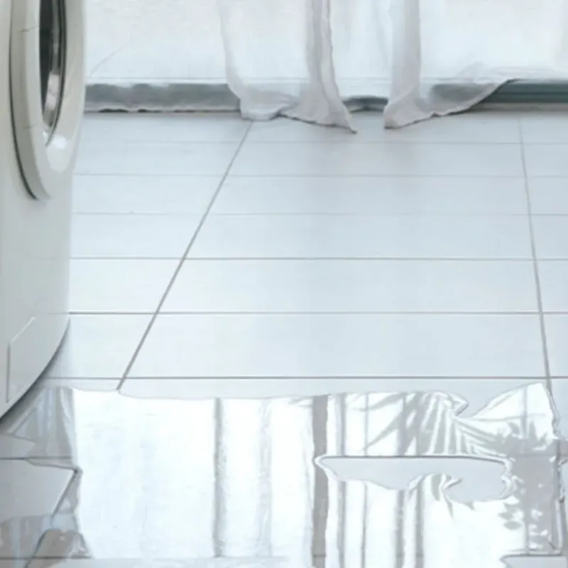 Appliance Leak Cleanup in Silver Firs, WA