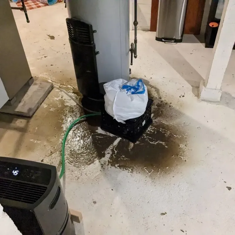 Sewage Backup Cleanup Service in Silver Firs, WA